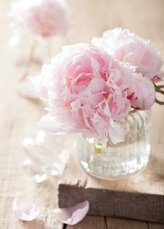 pink-flower-vase-poster-1.jpg