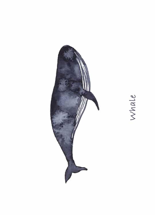 whale-poster-1.jpg
